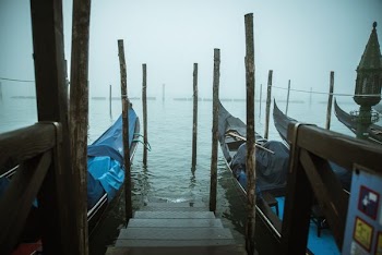brown wooden ladder beside watercrafts on body of water