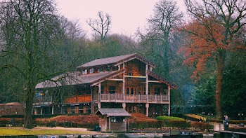 Brown Wooden Multi-story House Surrounded by Trees