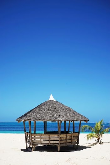 brown wooden nipa hut on white sand near body of water