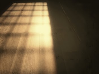 Brown Wooden Parquet Flooring