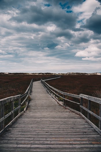 Brown Wooden Pathway