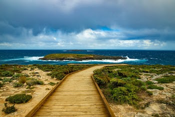 Brown Wooden Pathway Under Cloudy Sky