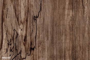 Brown wooden plank | Free stock vector - 588752