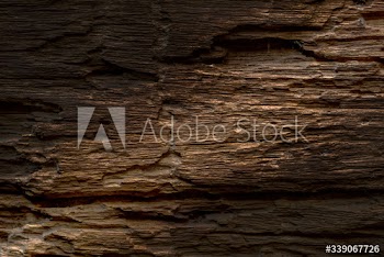 Brown wooden plank textured background
