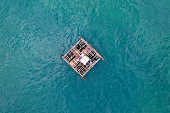 Brown Wooden Raft on Body of Water