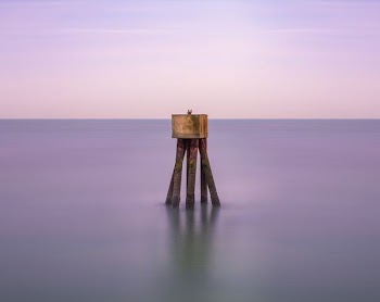 brown wooden sea stand during daytime