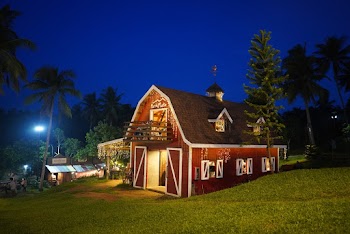 Brown Wooden Shack Beside Tree