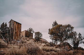Brown Wooden Shed