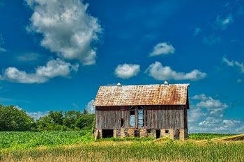 Brown Wooden Shed