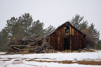 Brown Wooden Shed Near Green Trees