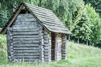 Brown Wooden Shed Near Trees