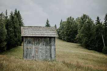 Brown Wooden Shed on Field With Green Trees Under Grey Sky