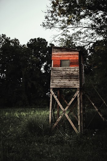 Brown Wooden Shed on Green Grass Field