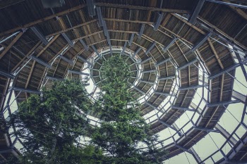 Brown Wooden Spiral Dome Building With Green Tree