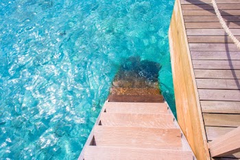 Brown Wooden Stair Towards Sea