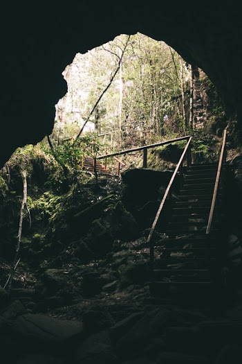 Brown Wooden Stairs