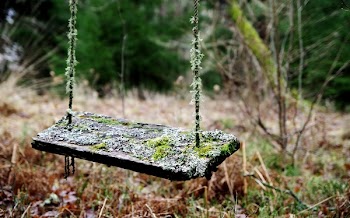 Brown Wooden Swing