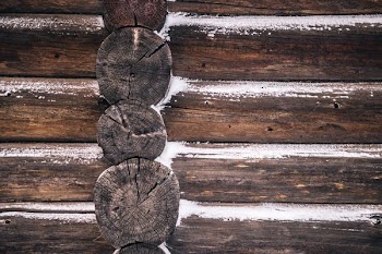 brown wooden tree log