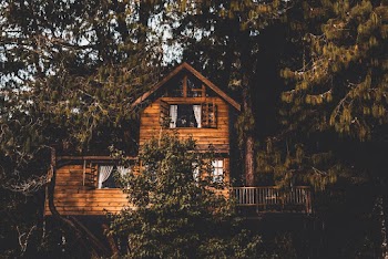 Brown Wooden Treehouse
