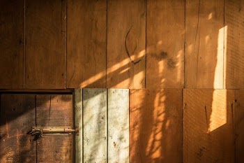 brown wooden wall