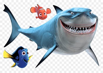 Bruce Great white shark Drawing Clip art - nemo 