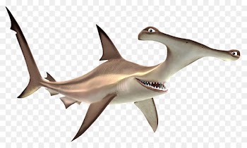 Bruce Great white shark Finding Nemo - shark 