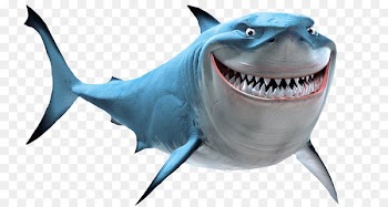 Bruce Great white shark Marlin - shark 