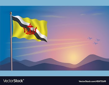 brunei flag in the morning sun