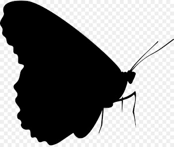 Brush-footed butterflies Moth Clip art Silhouette M. Butterfly -  