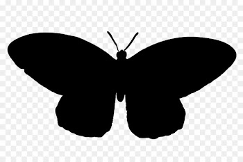 Brush-footed butterflies Moth Clip art Silhouette M. Butterfly -  