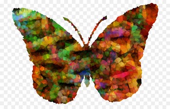 Brush-footed butterflies Moth Symmetry M. Butterfly Leaf -  