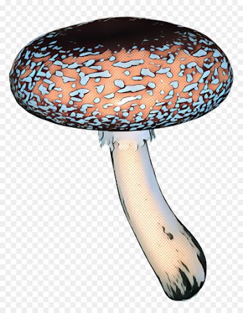 Brush, Mushroom, Fungus PNG