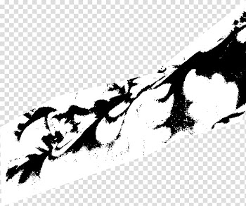 Brush Set , white and black abstract painting transparent background PNG clipart