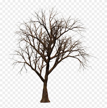 Brushes, Patterns Etc - Brown Branch Twig Tree Led Tree
