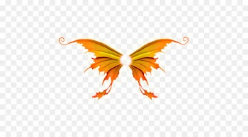 Brushfooted Butterflies, Butterfly, Wing, Orange PNG