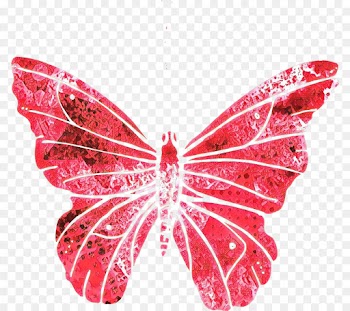 Brushfooted Butterflies, Moth, M Butterfly, Butterfly, Insect PNG