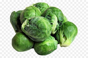 Brussels Sprouts Vegetarian cuisine Cabbage Vegetable Sprouting - cabbage 