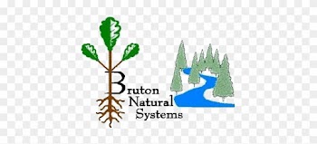 Bruton Natural Systems - Cypress Family