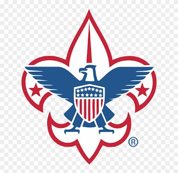 Bsa Fleurdelis 4k - Boy Scouts Of America