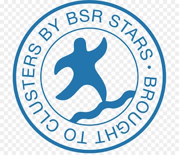 BSR Stars Organization Logo Clip art Brand - sme frame 