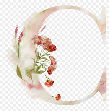 Bsuchstabe C Alphabet Monogram Zeichen Watercoler Gezeichnet - Sleepy Ridge Weddings