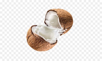Bubble tea Juice Coconut milk - Rich coconut oil 