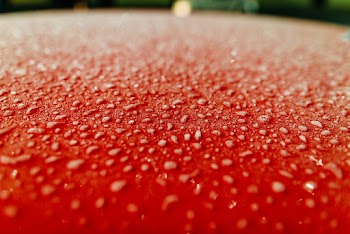 Bubbles on Red Surface