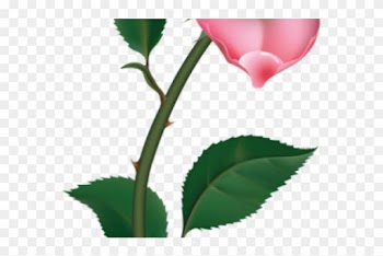Bud Clipart Small Flower - Pink Rose Clipart Png