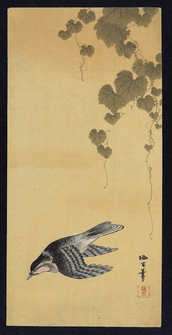 Budō ni shōkin. Original from the Library | Free Photo - rawpixel
