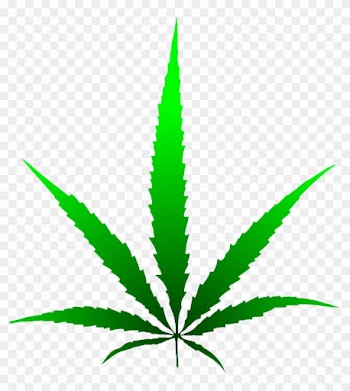Bud Show - Marijuana Leaf Drawing