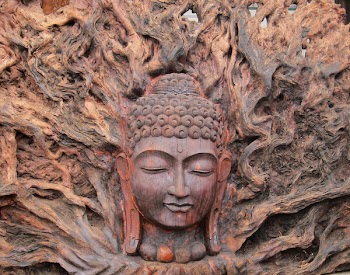 buddha_11x14.jpg
