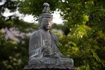 Buddha Statue Near Trees