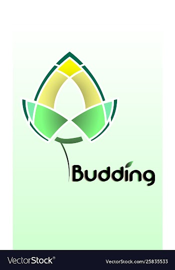 Budding logo vector image