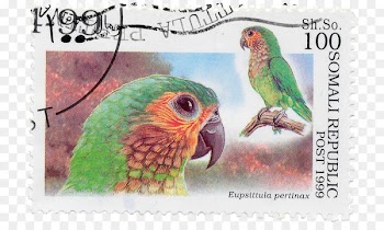 Budgerigar Parrot Bird Imperial amazon Saint Vincent amazon - Parrot Stamps 